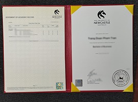 Newcastle University diploma