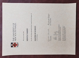 UNSW diploma