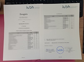Read more about the article How to Copy IUBH Official Transcript in Germany?
