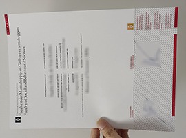 University of Amsterdam diploma