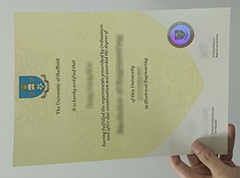 University of Sheffield diploma