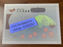 fake Japan VISA