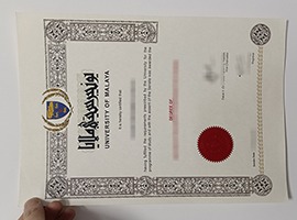 fake University of Malaya diploma