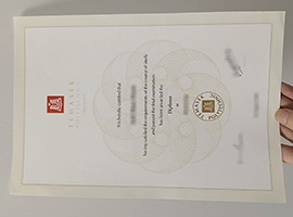 Temasek Polytechnic diploma