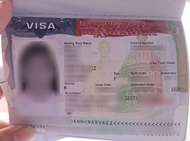 fake US VISA