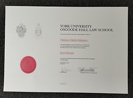 Read more about the article How to get a high quality York University diploma?