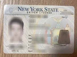 fake New York driver's license