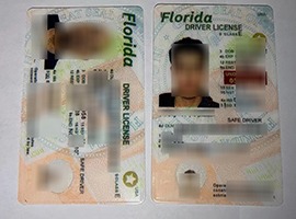 florida driver's license