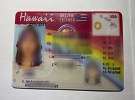 Read more about the article What’s the easiest way to buy a fake Hawaii driver’s license?