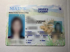 fake Maine ID