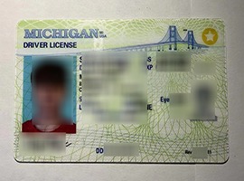 Michigan driver's license