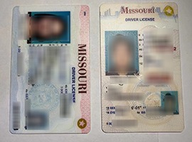 fake Missouri driver's license