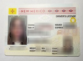 New Mexico driver's license