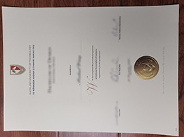 fake AUT diploma