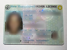 Read more about the article The latest version of New Hampshire ID sample