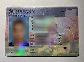 fake Oregon driver's license