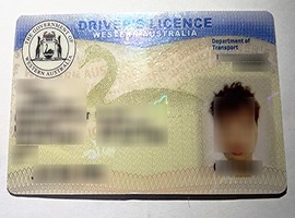 fake Western Australia driver's license