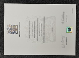 Teesside University diploma