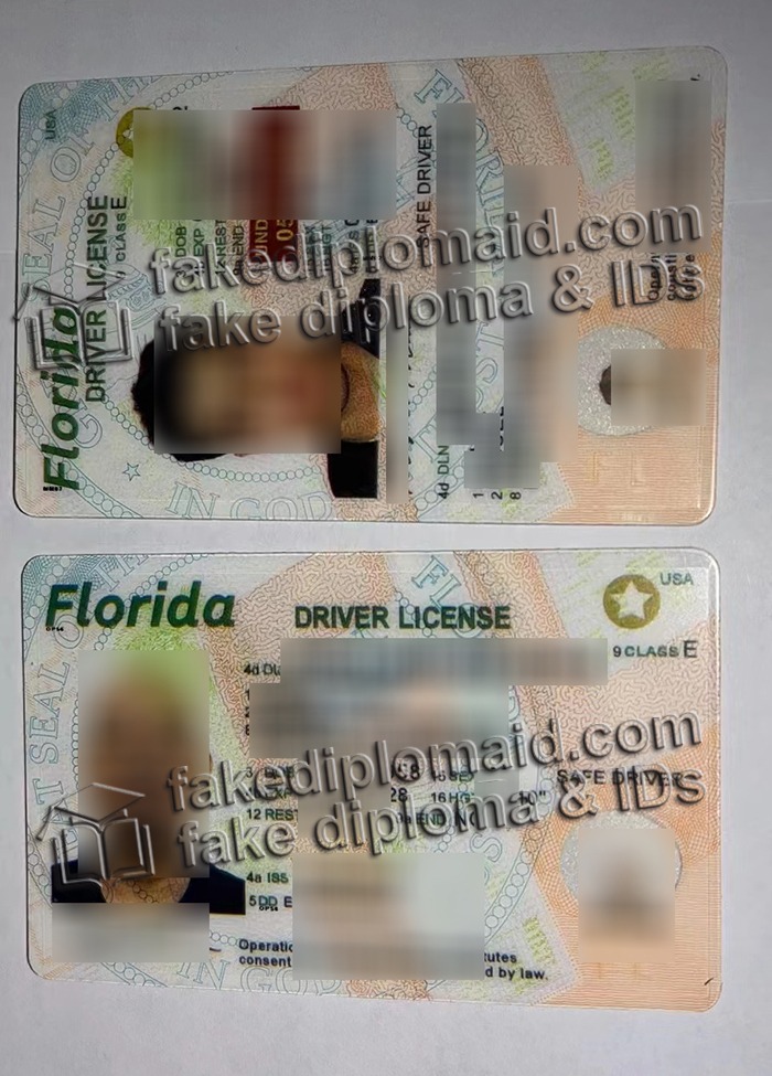 florida driver's license