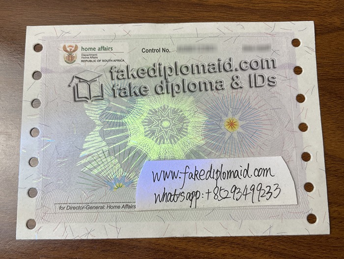 fake South Africa VISA