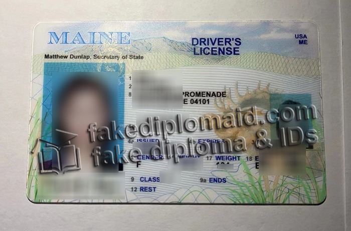 Maine fake ID