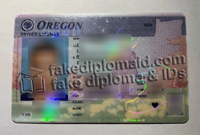 Oregon driver's license
