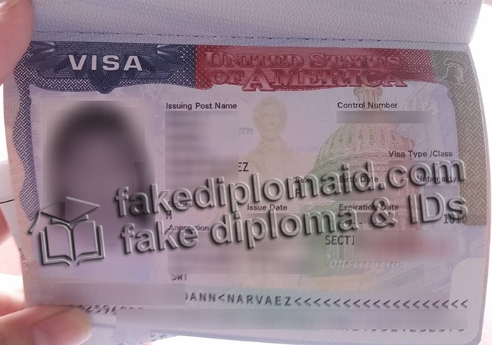 fake US VISA