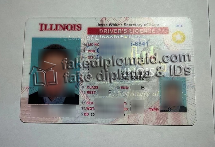 Illinois driver's license