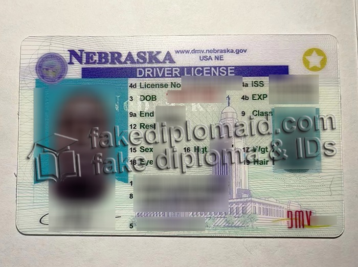 fake Nebraska driver's license
