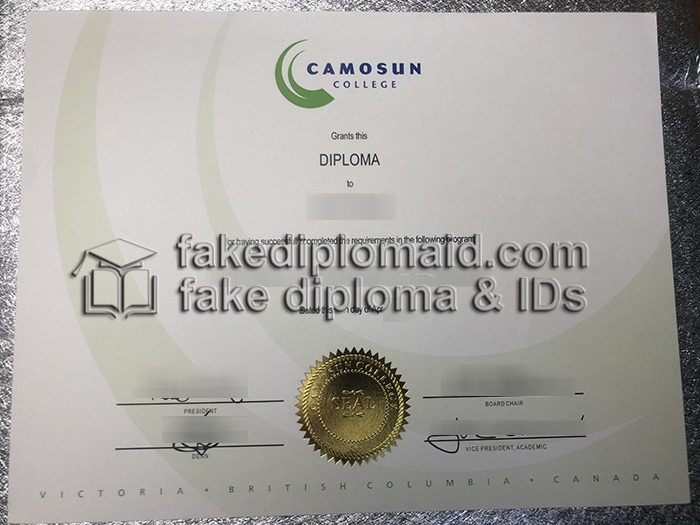 Buy fake CC diploma