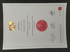fake ACCA certificate