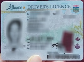 Alberta driver's license