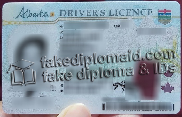 fake Alberta driver's license