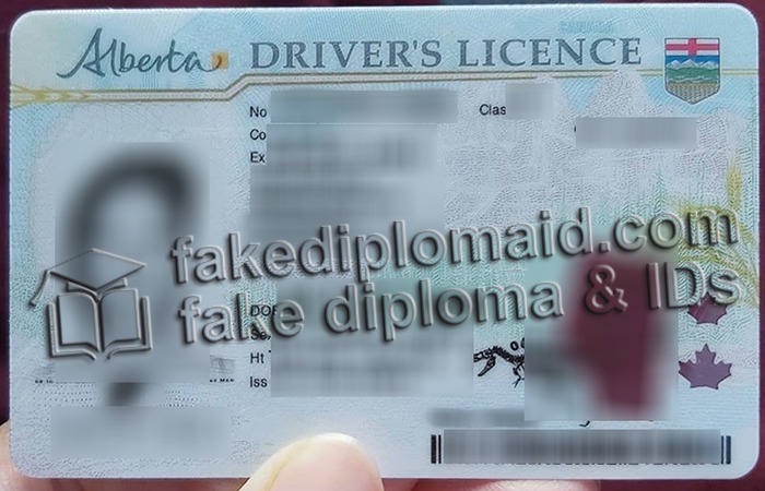 What Do I Need To Provide To Get A Fake Alberta Drivers License