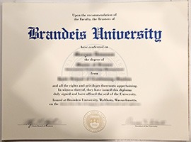 Brandeis University degree