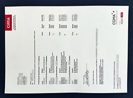 CGMA transcript