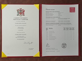 Cardiff University diploma