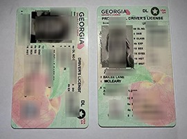 fake Georgia driver's license