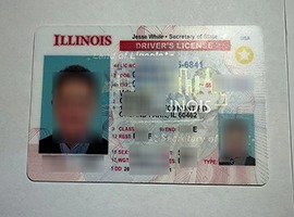 fake Illinois driver's license