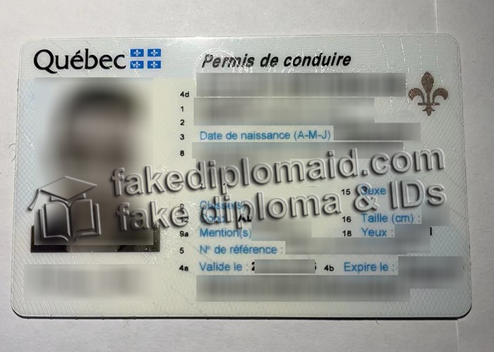 Quebec driver's license