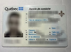fake Quebec driver's license