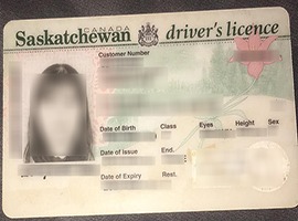 fake Saskatchewan driver's license