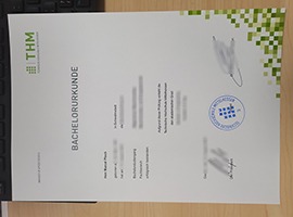 Technische Hochschule Mittelhessen diploma