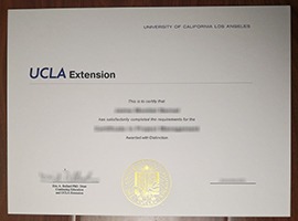 Read more about the article Why so many people buy a fake UCLA Extension certificate?