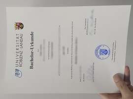 Universität Koblenz-Landau diploma.