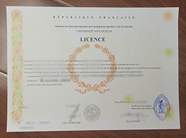 Université Toulouse III – Paul Sabatier diploma