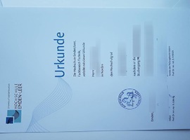 fake University of Emden/empty diploma