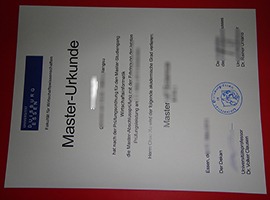 University of Duisburg-Essen diploma