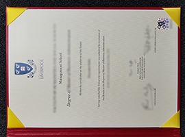 fake University of Liverpool diploma