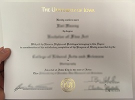 University of Lowa degree